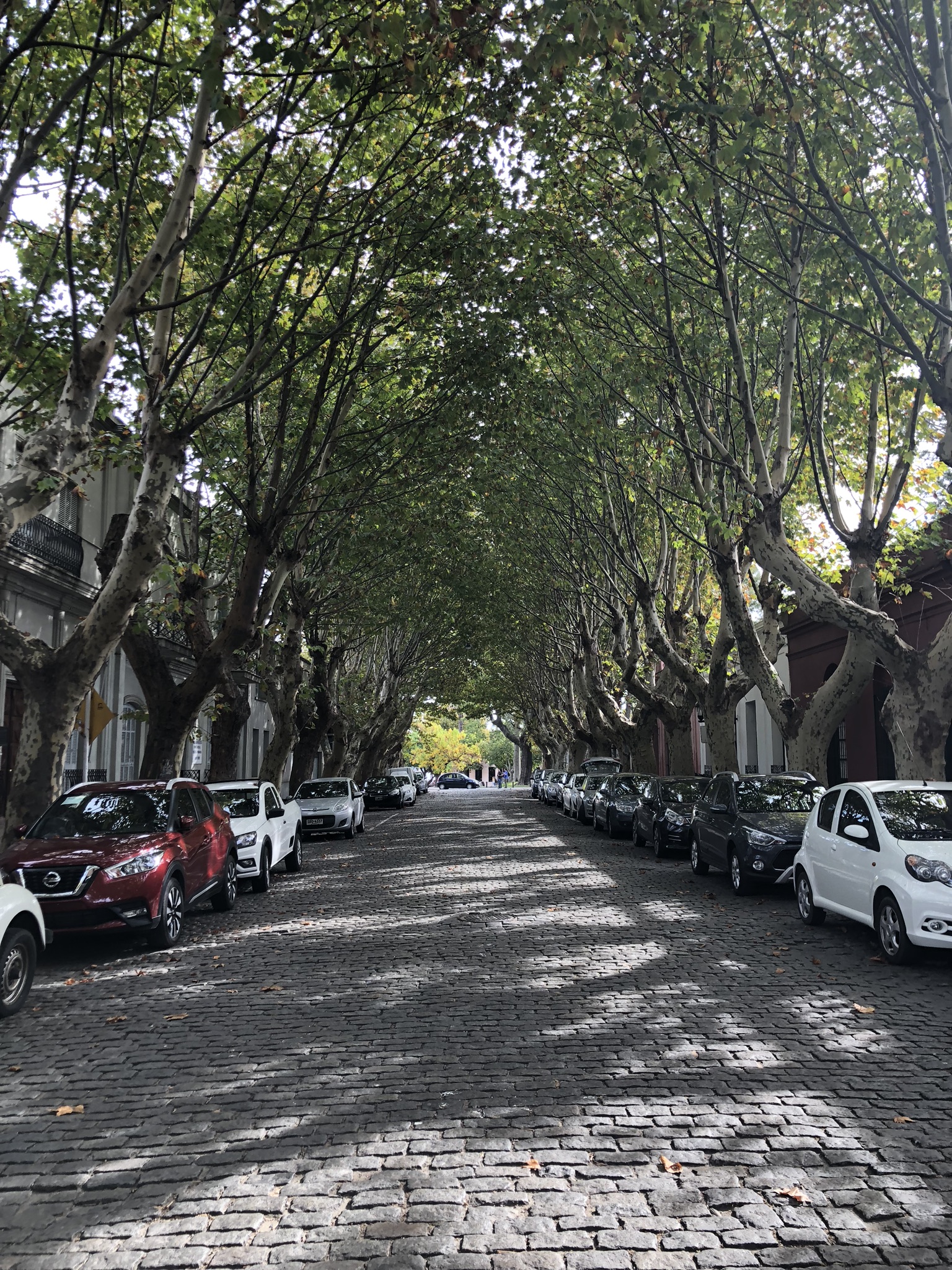 O que visitar em Colônia Del Sacramento