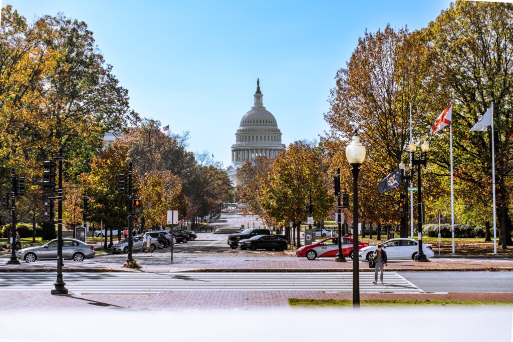 Como é Washington em Novembro