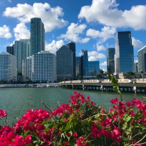 Desvendando Miami em Junho: Um Verão Vibrante à Beira-Mar