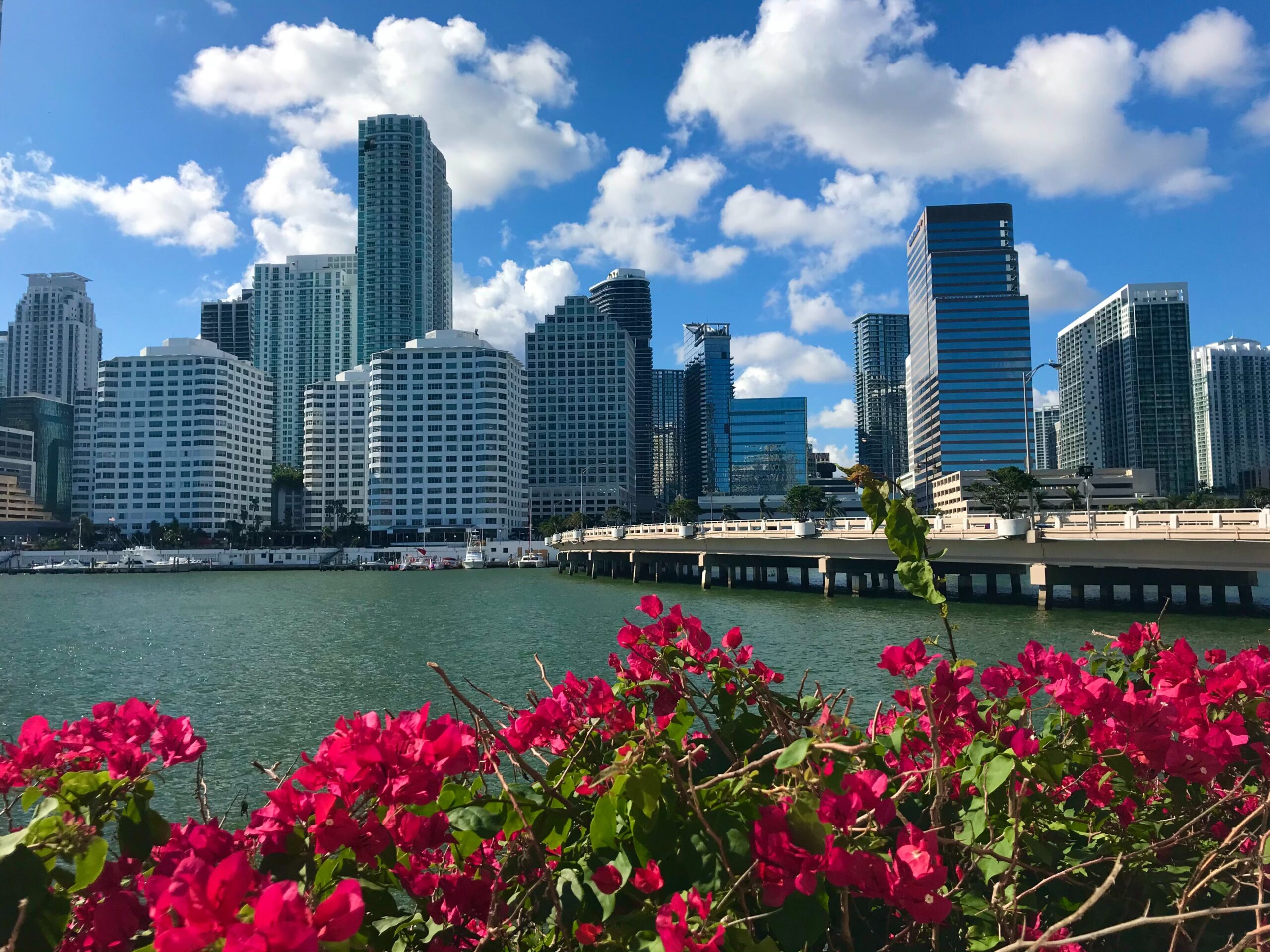 Desvendando Miami em Junho: Um Verão Vibrante à Beira-Mar